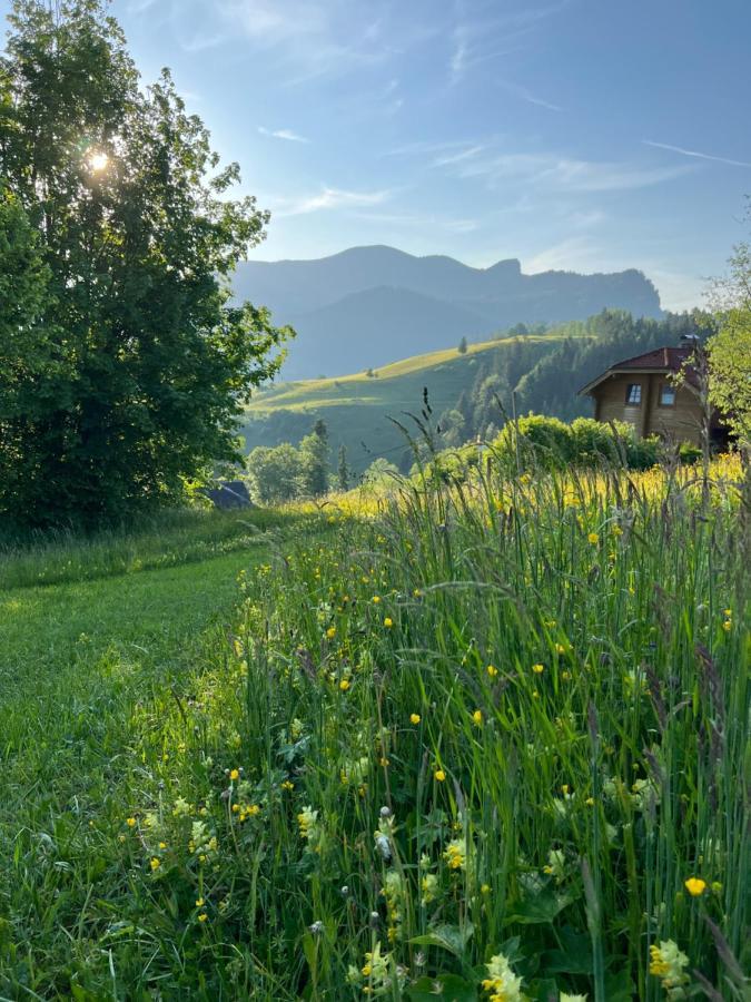 Tauglerei Appartement Enzian In Den Zauberbergen Sankt Koloman Dış mekan fotoğraf